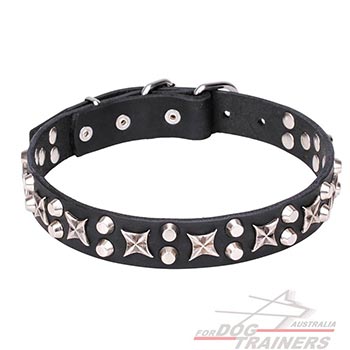 Luxurious Leather Dog Collar with Adornment