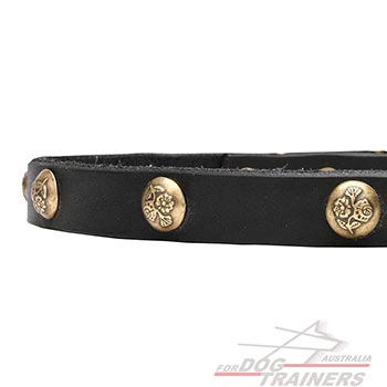 Leather dog collar with brass decorations