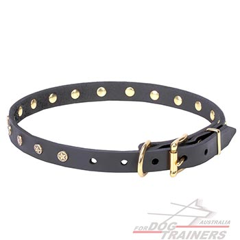Brass hardware for thin leather dog collar 