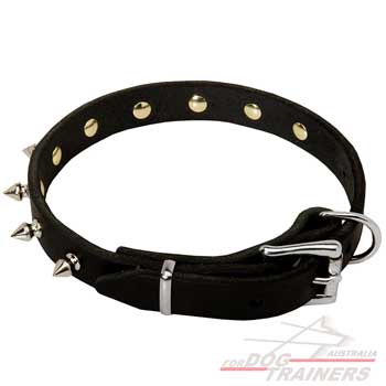Strong Leather collar with Spikes