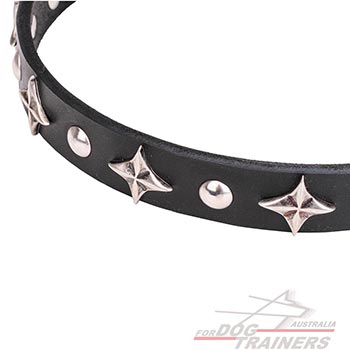 Durable dog collar with chrome plated adornment