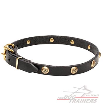 Genuine leather dog collar with studs