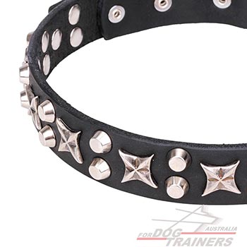 Dog Collar with Silvery Plated Decorations