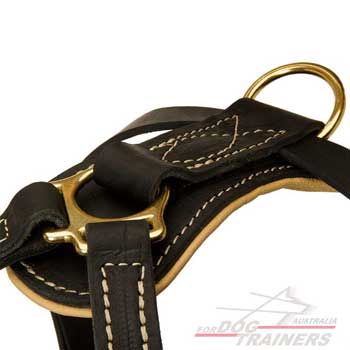 Firm Brass Hardware on leather harness