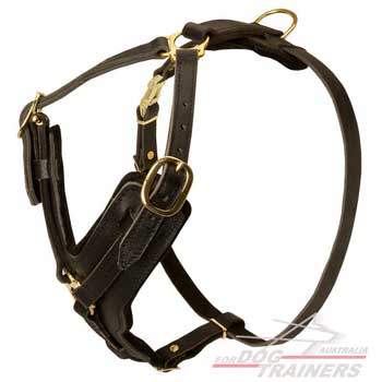 Four Ways Adjustable Leather Dog Harness