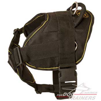 Easy wearing harness with quick release buckle