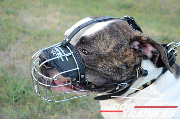 American Bulldog Wire Basket Muzzle Easy-To-Adjust