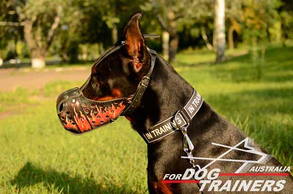 Doberman leather muzzle with holes for good ventilation