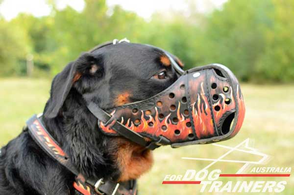 Rottweiller leather muzzle decorated with flames