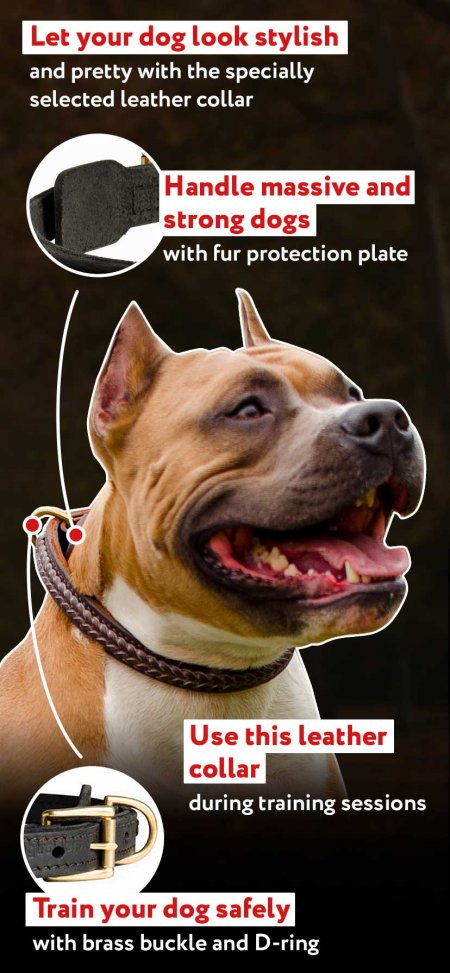 Elegant Braided Leather Dog Collar