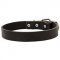 Elegant Smooth Leather Dog Collar