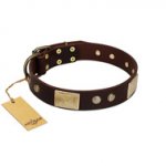 "Middle Age" FDT Artisan Brown Leather dog Collar with Old Bronze-Plated Engraved Flowers and Large Plates