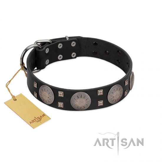 "Sun in Shining" Modern FDT Artisan Black Leather dog Collar with Studs and Stars