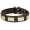 Gorgeous New Design Leather Dog Collar with Brass Plates