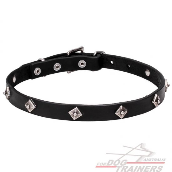 Narrow Leather Dog Collar with Chrome Plated Studs - "Cosmic Stars" - 4/5 inch (20 mm)
