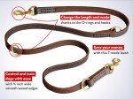 Leather Dog Leash for Training, Walking, Tracking
