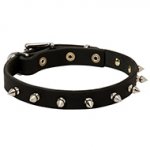 Stylish Leather Dog Collar with One Row Spikes