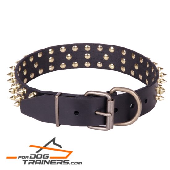 "Black Super Star" Leather Dog Collar with Brass Decorations