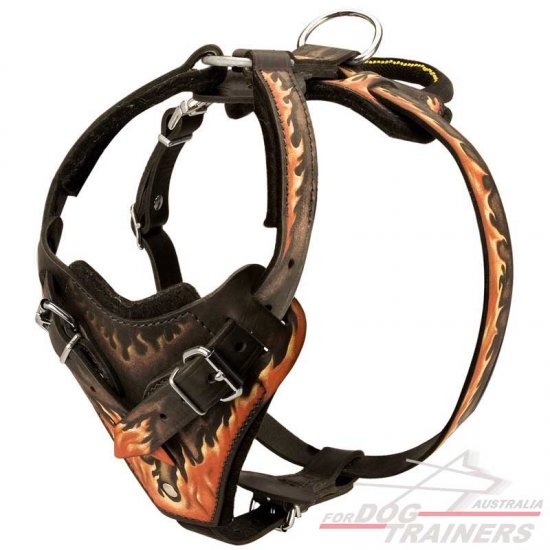 Stylish Hand-Painted Leather Dog Harness with Flames