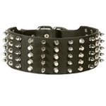 3 inch Decorated Dog Collar