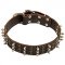 Leather Dog Collar with Studs and Spikes