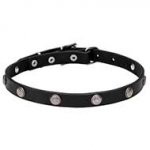 "Antique Flowers" Leather Dog Collar with Chrome Plated Round Studs 4/5 inches (20 mm) wide
