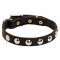 Leather Dog Collar with Nickel Half-Ball Studs