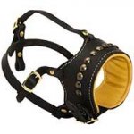 Nappa Padded Leather Dog Muzzle for Anti-Barking Training
