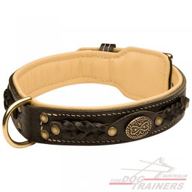 Fashionable Royal Nappa Padded Hand Made Leather Dog Collar