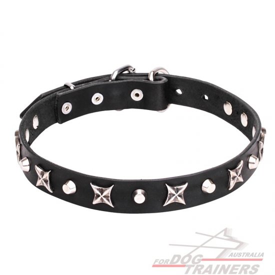 1 inch (25 mm) Leather Dog Collar with Shiny Nickel Plated Stars and Pyramids