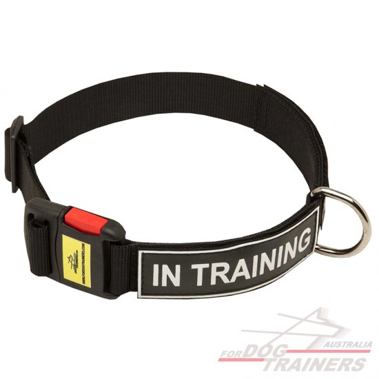 Multipurpose Service Nylon Collar with Patches