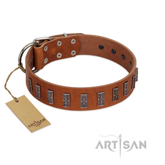 "Silver Century" Fashionable FDT Artisan Tan Leather dog Collar with Silver-Like Plates
