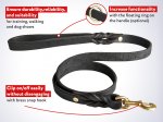 Leather dog leash with short braids