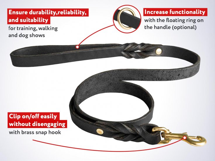 Leather dog leash with short braids