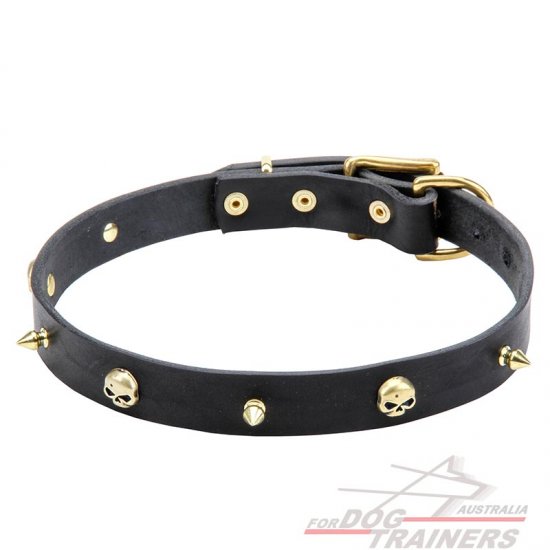 Leather dog collar "Rock the Goth" with brass spikes and skulls - Click Image to Close