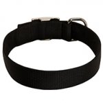 2 Ply Nylon Wide Dog Collar
