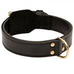 Extra Strong 2 ply Leather Dog Training Collar