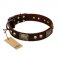 "Magic Amulet" Brown Leather dog Collar with Skulls and Plates