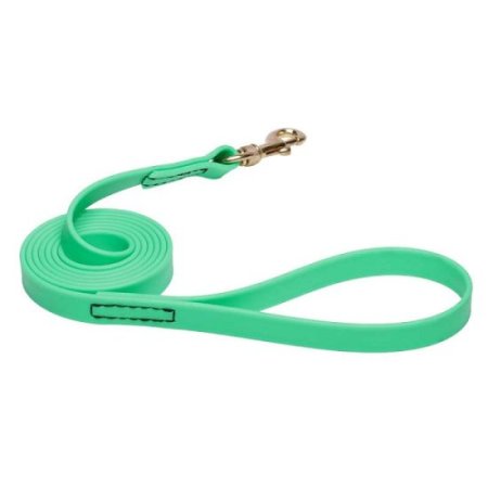 Green Waterproof dog Leash Made of Biothane