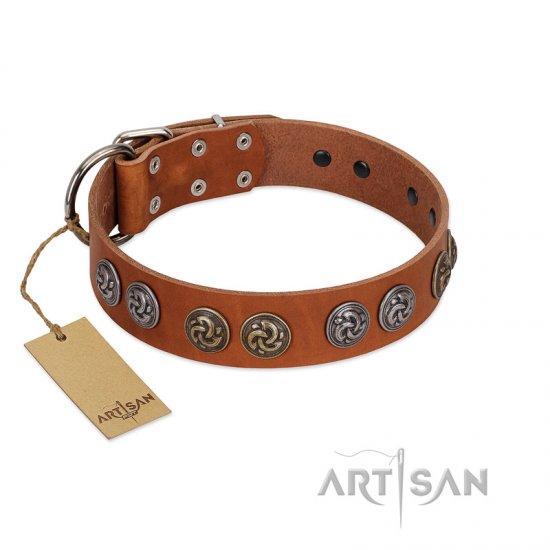 "Luxurious Life" Premium Quality FDT Artisan Tan Leather dog Collar with Round Adornments