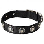 Fashionable Nylon Dog Collar with Silvery Conchos