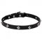 Narrow Leather Dog Collar with Chrome Plated Studs - "Cosmic Stars" - 4/5 inch (20 mm)