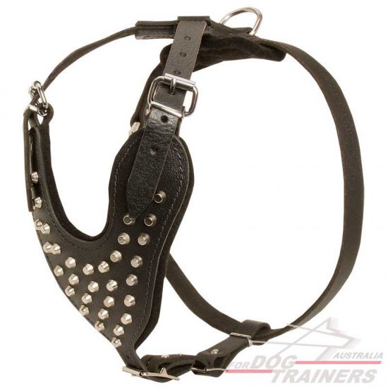 studded leather harness