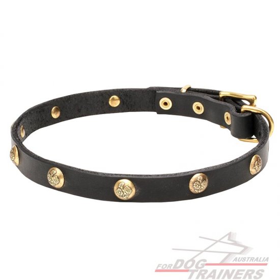'Stamped Studs' Exclusive Fashion Dog Collar with Brass Hardware- 4/5 inch (20 mm) - Click Image to Close