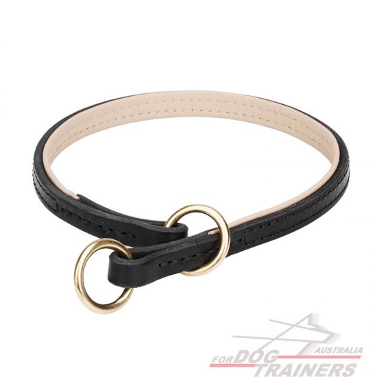 Choke Dog Collar for Obedience Training