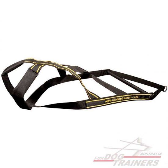 Weight Pulling Dog Harness