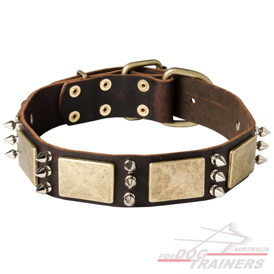 Handcrafted Vintage Spiked Dog Collar