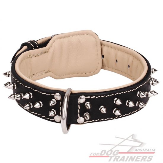 Leather dog collar with 2 rows of nickel-plated spikes