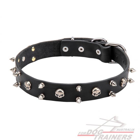 "Jolly Roger" Leather Dog Collar with Skulls and Spikes - 1 1/15 inch (30 mm)