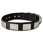 Fashionable Nylon Dog Collar with Vintage Plates